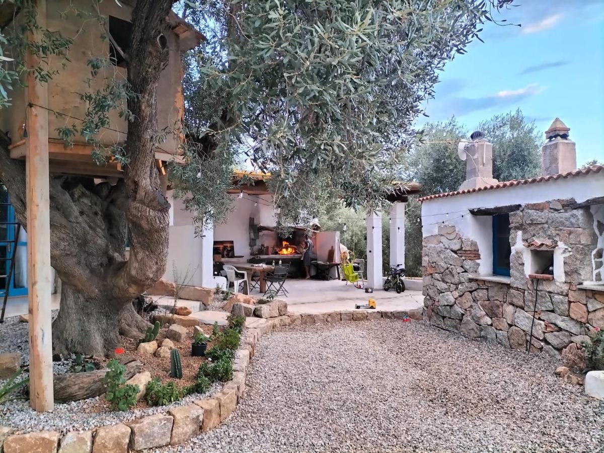 לינה וארוחת בוקר Jerzu Sole In Ogliastra מראה חיצוני תמונה