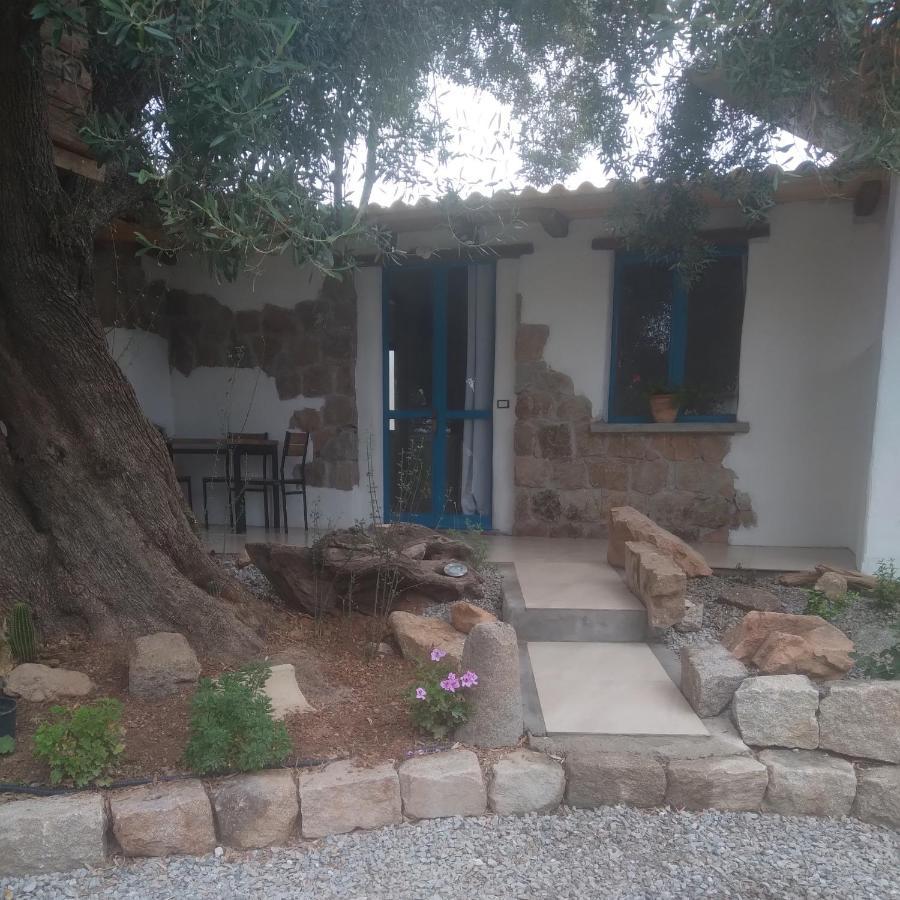 לינה וארוחת בוקר Jerzu Sole In Ogliastra מראה חיצוני תמונה