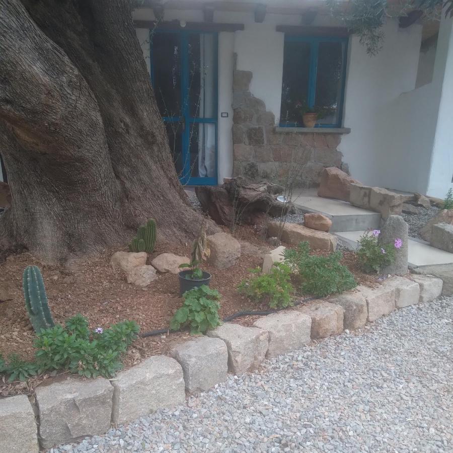 לינה וארוחת בוקר Jerzu Sole In Ogliastra מראה חיצוני תמונה