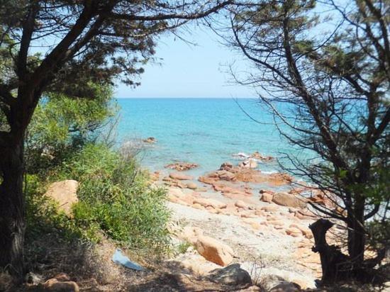 לינה וארוחת בוקר Jerzu Sole In Ogliastra מראה חיצוני תמונה