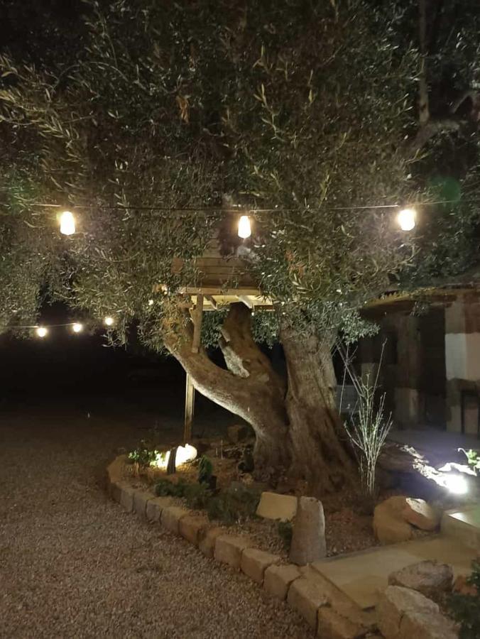 לינה וארוחת בוקר Jerzu Sole In Ogliastra מראה חיצוני תמונה