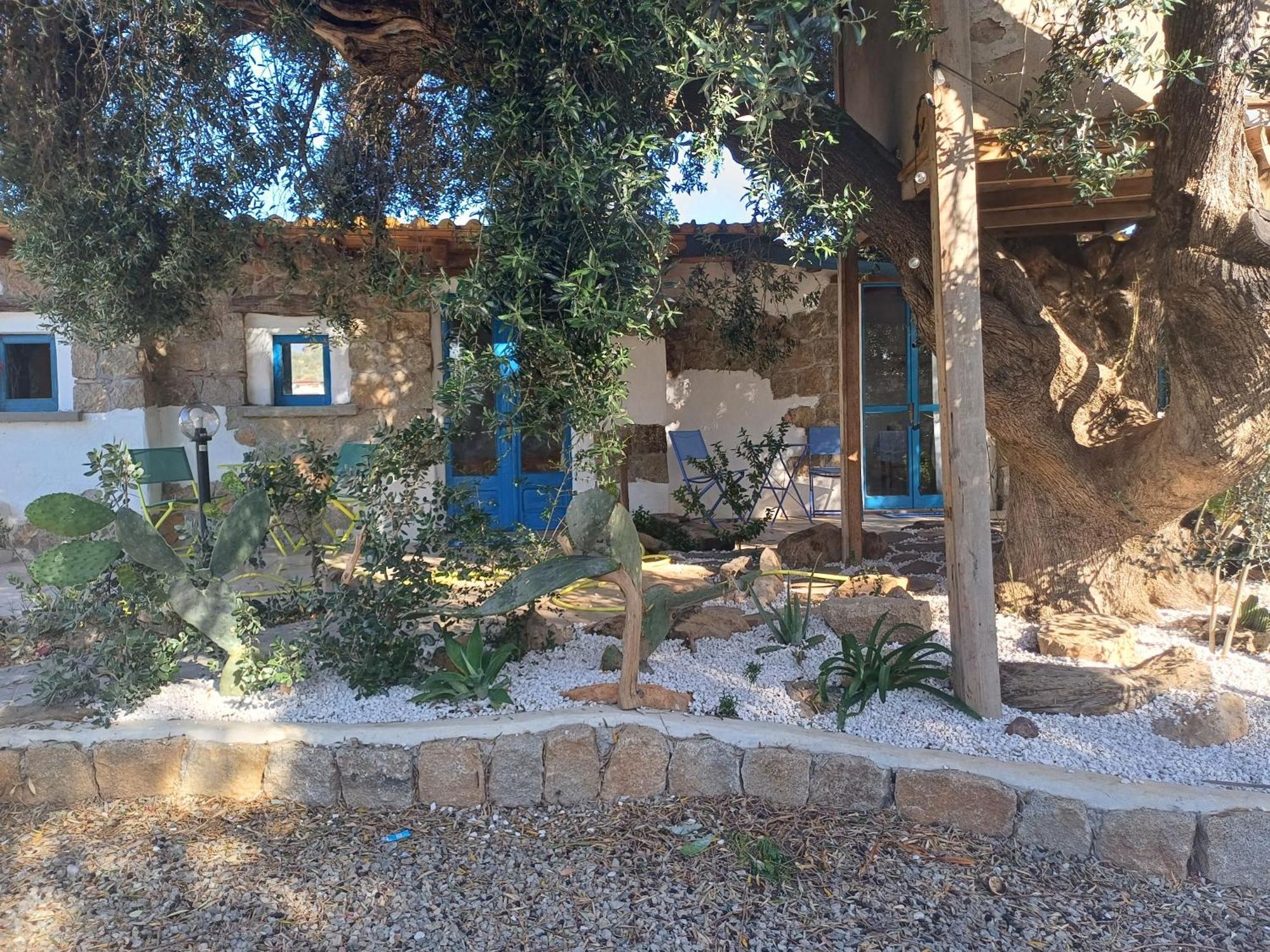 לינה וארוחת בוקר Jerzu Sole In Ogliastra חדר תמונה